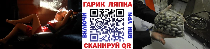 blacksprut зеркало Судогда ГАШИШ Ice-O-Lator