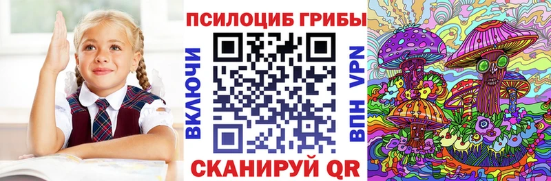 наркотики  Судогда  Галлюциногенные грибы MAGIC MUSHROOMS 