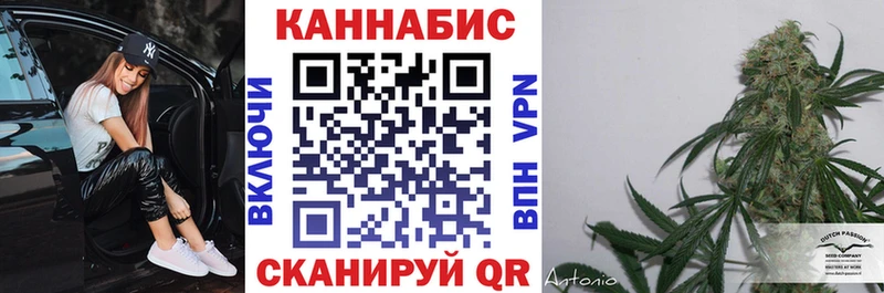 Канабис AK-47  kraken tor  это как зайти  где продают   Судогда 